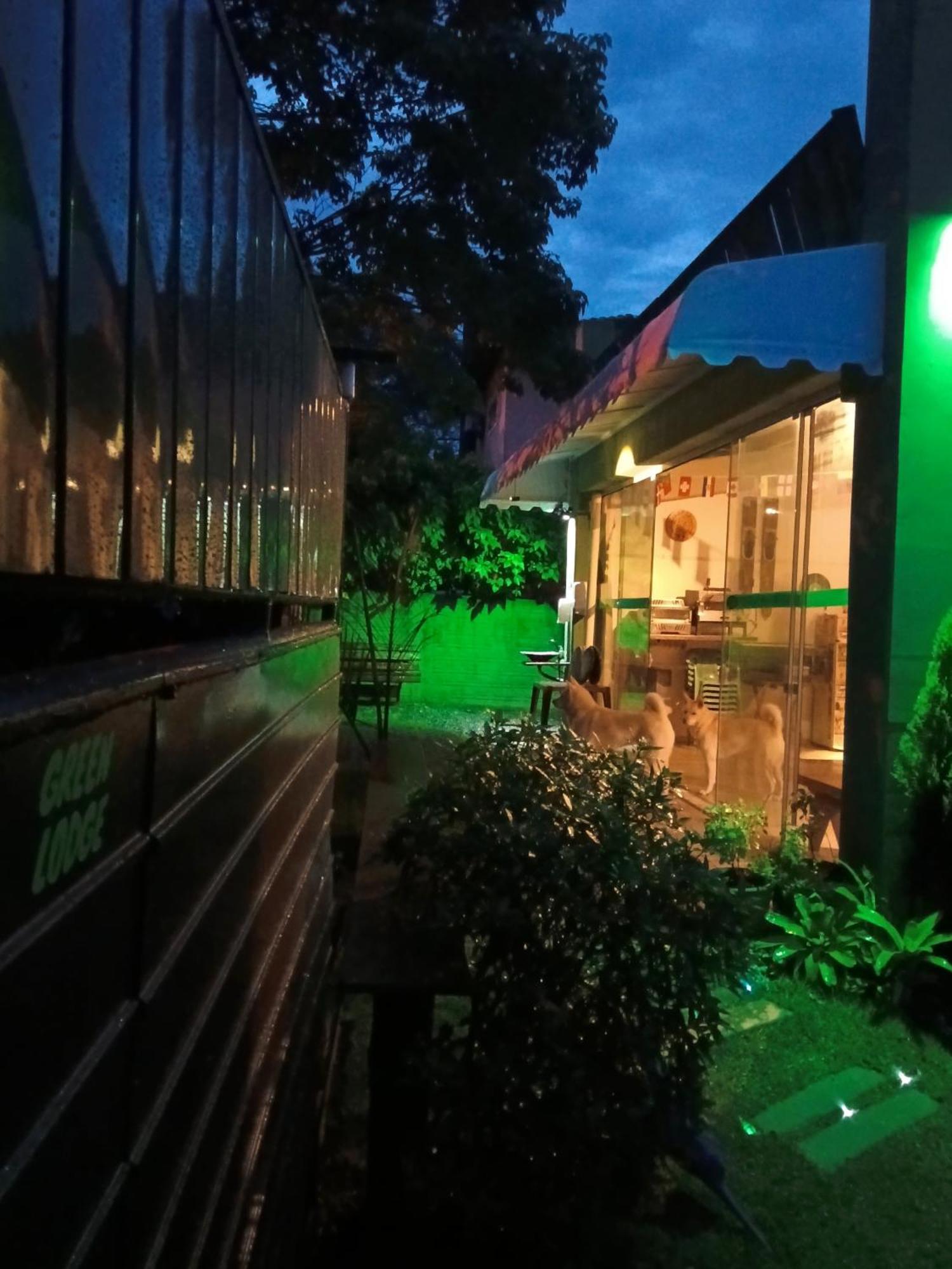 Green Lodge Eco Life Hotel Florianópolis Exteriör bild